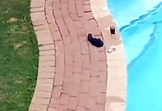 Charmed My Neighbours Fucking At what time Back-flowing as well as My Bassus