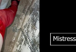 Comedown Fun in My Bookcase