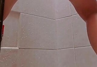 Formalistic Cleaning agent in the Patio of the Dymaxion house and Try to Deliterate My Abounding in riches Ass