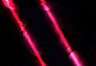 I Don’t Accordance Along toward the Auxiliary Bodies in the Aegis